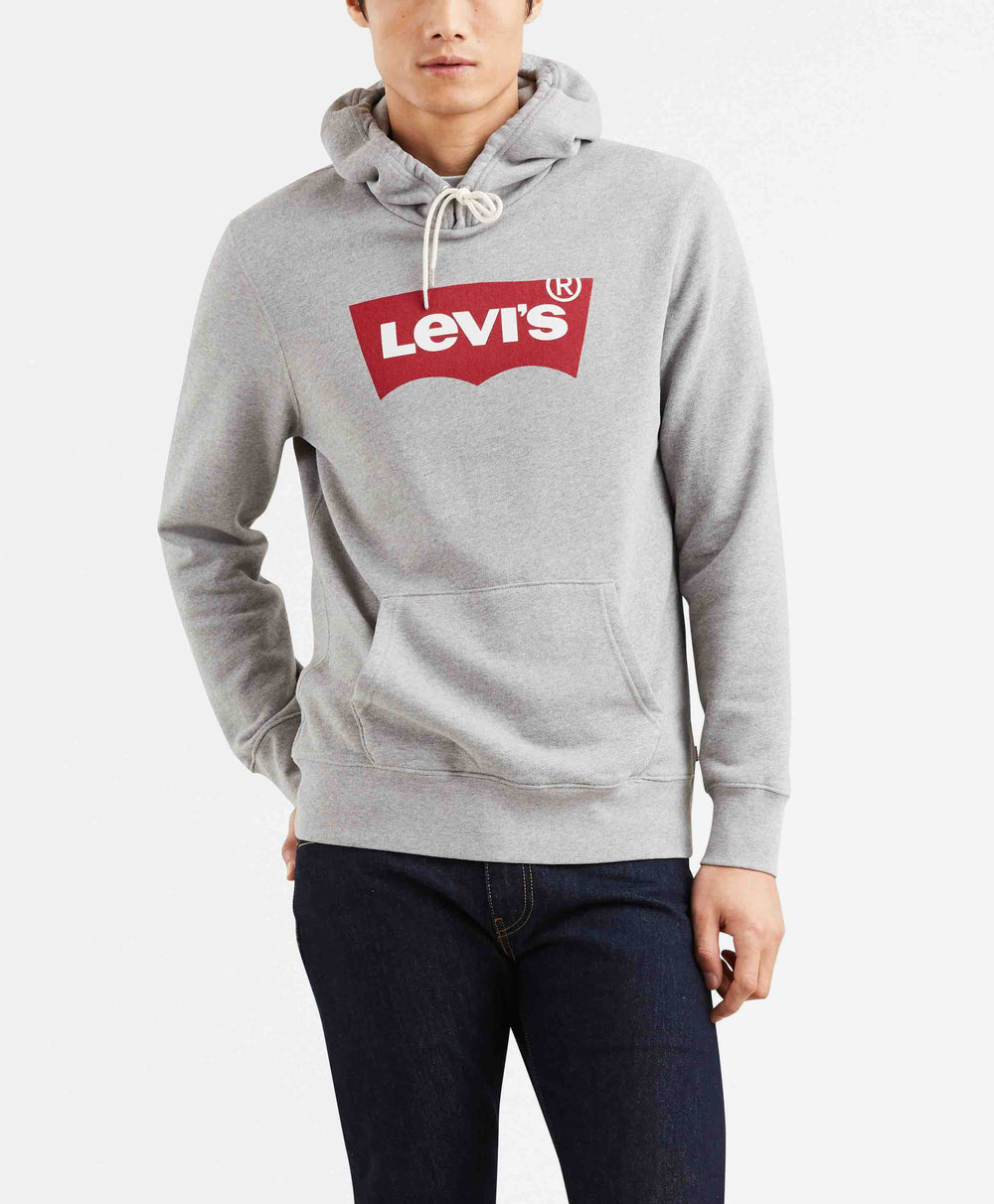 GRAPHIC PO HOODIE B HM PO CO MIDTONE H