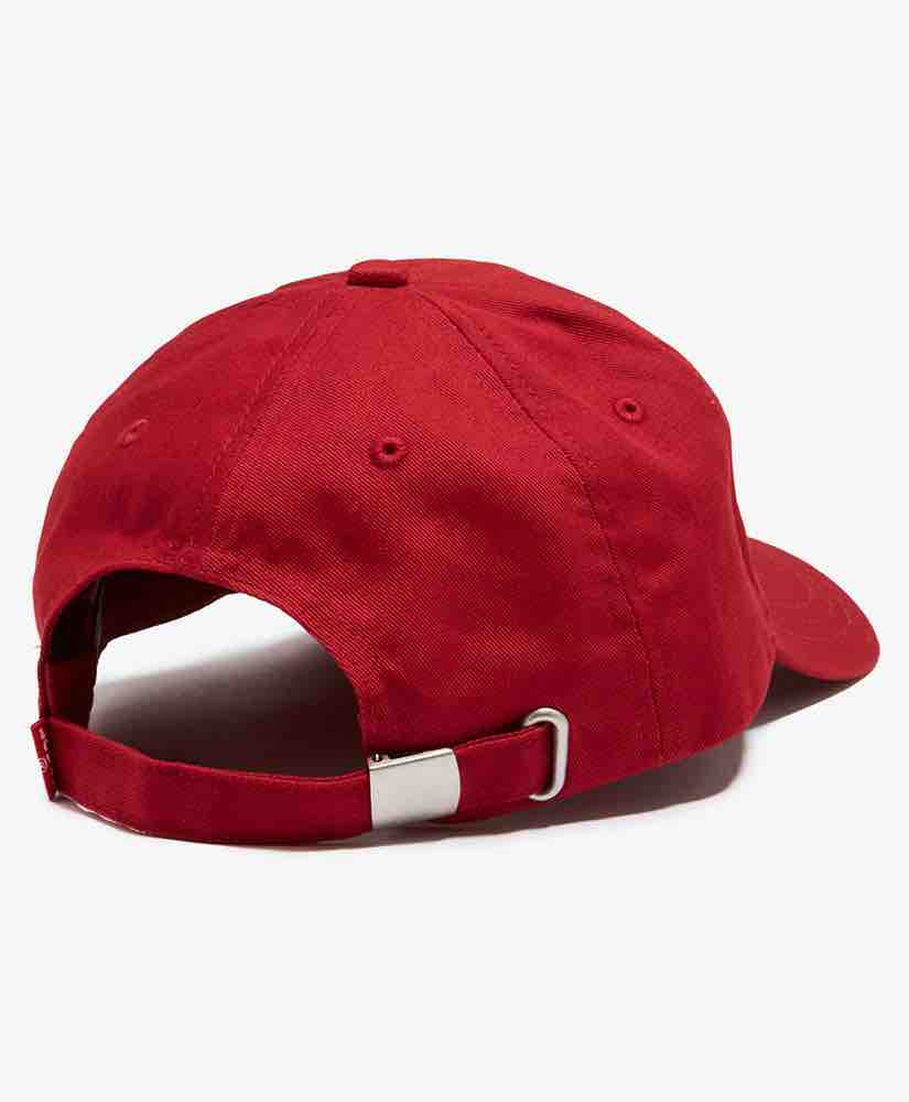 Levi’s® Logo Flex Fit Hat