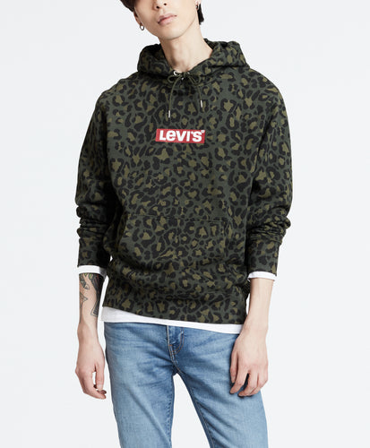 Graphic Po Hoodie- B